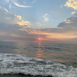 日韩av成人电影
